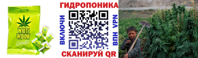 Купить закладки  Бобров  Печенье с ТГК марихуана 