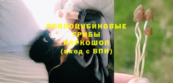 а пвп мука Заволжск