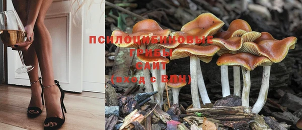 бошки Зерноград