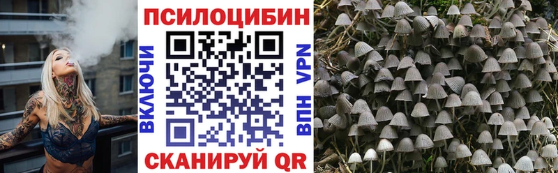 Купить  Бобров  Псилоцибиновые грибы MAGIC MUSHROOMS 